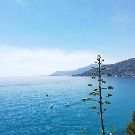 Sun&sea Brush Vallecrosia